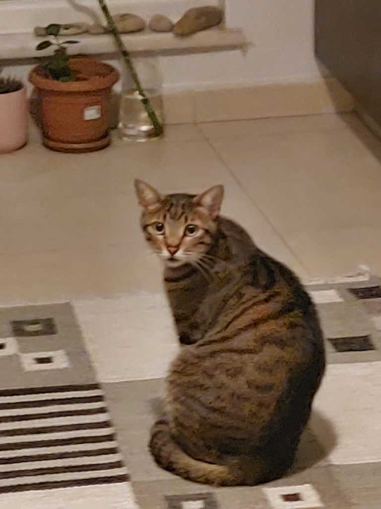 The current image has no alternative text. The file name is: 20211202_205234-scaled.jpg